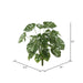 FB172001-2 Decor/Faux Florals/Plants & Trees