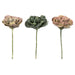 FV193001 Decor/Faux Florals/Floral Arrangements