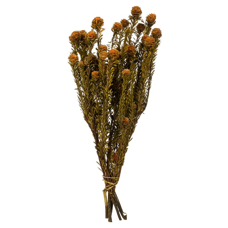 Product Image: H1TOF750 Decor/Faux Florals/Floral Arrangements