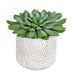 FH191106 Decor/Faux Florals/Floral Arrangements