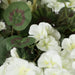 FA174603-4 Decor/Faux Florals/Plants & Trees