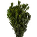 H1PLT115 Decor/Faux Florals/Floral Arrangements