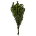 H1PLT115 Decor/Faux Florals/Floral Arrangements