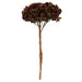H1HYD800 Decor/Faux Florals/Floral Arrangements