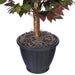 TBU0340-RG Decor/Faux Florals/Plants & Trees