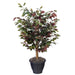 TBU0340-RG Decor/Faux Florals/Plants & Trees