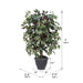 TBU0340-RG Decor/Faux Florals/Plants & Trees