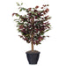 TBU0340-RG Decor/Faux Florals/Plants & Trees