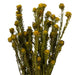 H1TOF700 Decor/Faux Florals/Floral Arrangements
