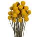 H4BBN700 Decor/Faux Florals/Floral Arrangements