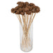 H7CERS000 Decor/Faux Florals/Floral Arrangements