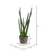 FE181801 Decor/Faux Florals/Floral Arrangements