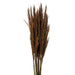 H1PLR800 Decor/Faux Florals/Plants & Trees