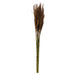 H1PLR800 Decor/Faux Florals/Plants & Trees