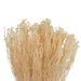 H1SAA999 Decor/Faux Florals/Wreaths & Garlands