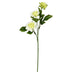FV190641 Decor/Faux Florals/Wreaths & Garlands
