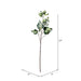 FV196224 Decor/Faux Florals/Wreaths & Garlands