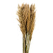 H1PLR000 Decor/Faux Florals/Plants & Trees