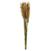 H1PLR000 Decor/Faux Florals/Plants & Trees