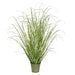 TD190524 Decor/Faux Florals/Plants & Trees