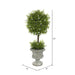 FK172501 Decor/Faux Florals/Plants & Trees