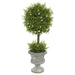 FK172501 Decor/Faux Florals/Plants & Trees