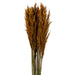 H1PLR750 Decor/Faux Florals/Plants & Trees