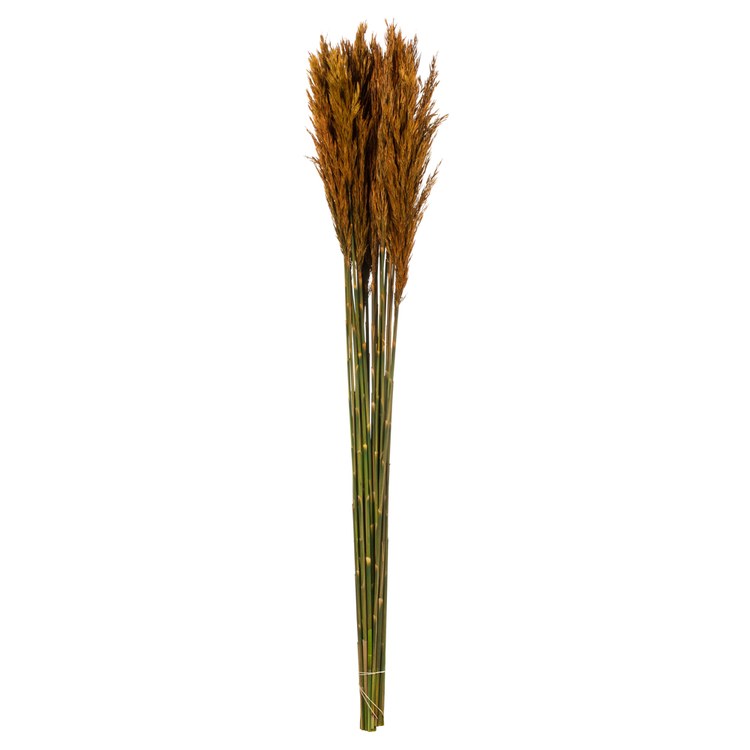 Product Image: H1PLR750 Decor/Faux Florals/Plants & Trees