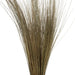 H2BRG000-2 Decor/Faux Florals/Plants & Trees