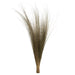 H2BRG000-2 Decor/Faux Florals/Plants & Trees