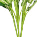 TP170236 Decor/Faux Florals/Plants & Trees