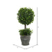 FK172601 Decor/Faux Florals/Plants & Trees