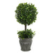 FK172601 Decor/Faux Florals/Plants & Trees