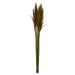 H1PLR725 Decor/Faux Florals/Plants & Trees