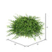 FF170602 Decor/Faux Florals/Plants & Trees