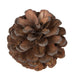 H7BLPM000 Decor/Faux Florals/Wreaths & Garlands