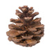 H7BLPM000 Decor/Faux Florals/Wreaths & Garlands