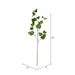 FV195932 Decor/Faux Florals/Wreaths & Garlands