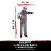 HHCLOWN-23FLSA Holiday/Halloween/Halloween Outdoor Decor