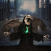 HHRPR-17FLSA Holiday/Halloween/Halloween Outdoor Decor