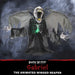 HHRPR-17FLSA Holiday/Halloween/Halloween Outdoor Decor