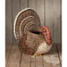 TD1215 Holiday/Halloween/Halloween Indoor Decor