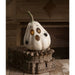 TJ1325 Holiday/Halloween/Halloween Indoor Decor