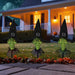 34855025 Holiday/Halloween/Halloween Outdoor Decor