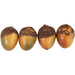 33049649 Holiday/Thanksgiving & Fall/Thanksgiving & Fall Tableware and Decor