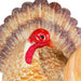 34865414 Holiday/Thanksgiving & Fall/Thanksgiving & Fall Tableware and Decor
