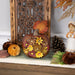 32915453 Holiday/Thanksgiving & Fall/Thanksgiving & Fall Tableware and Decor