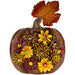 32915453 Holiday/Thanksgiving & Fall/Thanksgiving & Fall Tableware and Decor