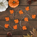 34851531 Holiday/Thanksgiving & Fall/Thanksgiving & Fall Tableware and Decor