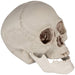 32255994 Holiday/Halloween/Halloween Indoor Decor